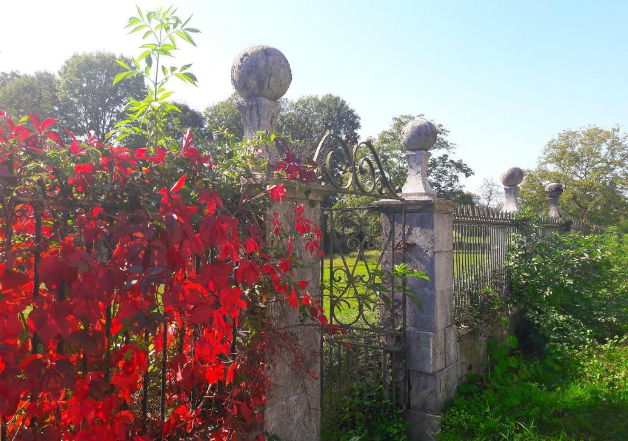 Bed and Breakfast Domaine Lou Castet Tuzaguet Exterior foto