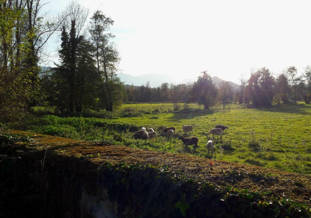Bed and Breakfast Domaine Lou Castet Tuzaguet Exterior foto